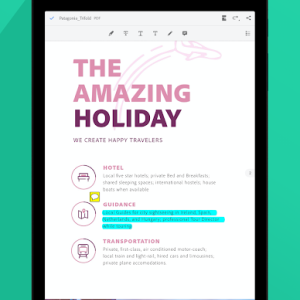 Adobe Acrobat Reader Screenshot №10