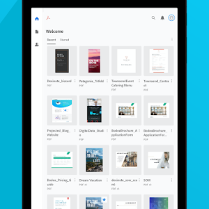 Adobe Acrobat Reader Screenshot №9