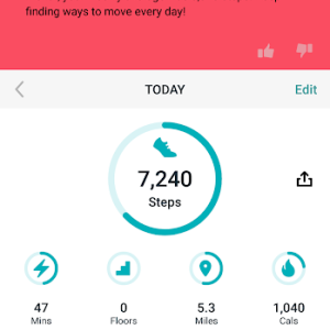 Fitbit Screenshot №1