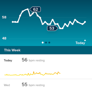 Fitbit Screenshot №4