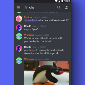 Discord - Friends, Communities, & Gaming Screenshot №1