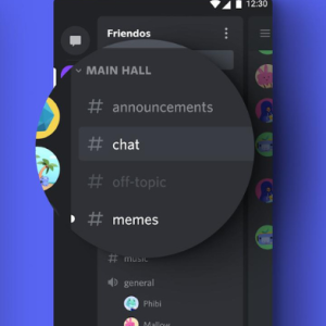 Discord - Friends, Communities, & Gaming Screenshot №3