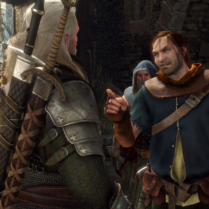 The Witcher® 3: Wild Hunt Screenshot №12