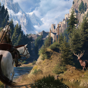 The Witcher® 3: Wild Hunt Screenshot №13