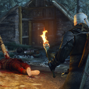 The Witcher® 3: Wild Hunt Screenshot №2